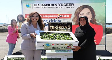 Tekirdağ Büyükşehir Belediyesi'nden üreticilere fide desteği 