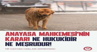 TİP: