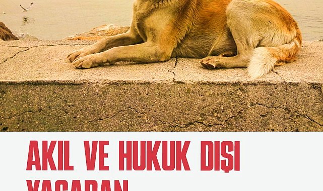 TİP Hayvan Hakları Komisyonu: