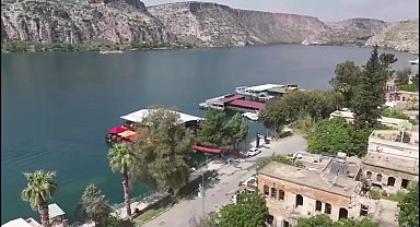 Türkiye'de sadece Halfeti'de yetişen karagül çiçeğinin hasadı başladı