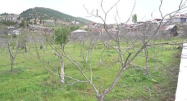 TZOB Genel Başkanı Bayraktar'dan zirai don açıklaması: