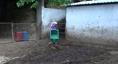 Üretici ayakta kalmakta zorlanıyor... Aydınlı besici: 