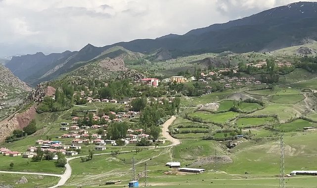 Van'ın Andiçen Köyü’nde hayvancılık çöküşte: