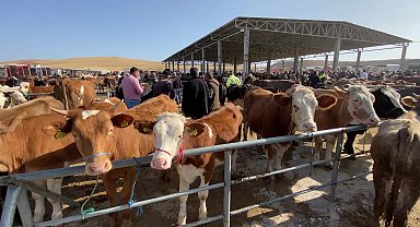Yozgat’ta Kurban Bayramı öncesinde hayvan pazarlarında denetimler artırıldı