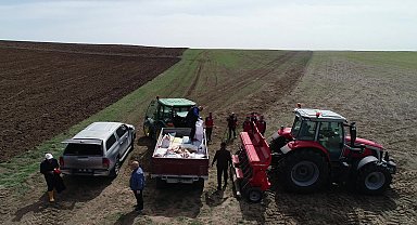 Yozgat’ta nohut verimini artırmak amacıyla 11 köyde yerli tohumlar deneme ekimi yapıldı