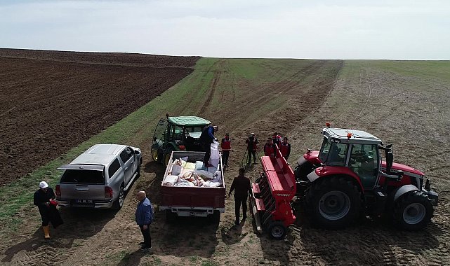 Yozgat’ta nohut verimini artırmak amacıyla 11 köyde yerli tohumlar deneme ekimi yapıldı