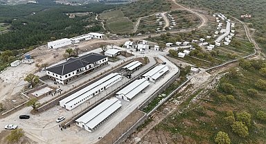 Yunusemre Hayvan Yaşam Merkezi'nin ilk etabı yarın açılıyor