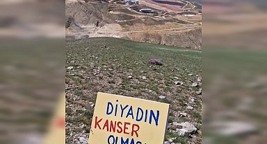 Ağrı'nın Diyadin ilçesindeki altın madeni projesine çevrecilerden tepki: