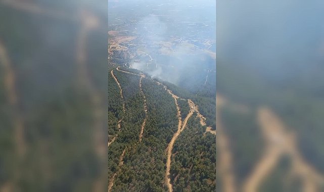 Alaşehir’de ormanlık alanda yangın çıktı: 4 uçak, 2 helikopterle müdahale devam ediyor