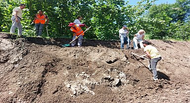 Altınordu'da yol çalışmasında tarihi mezarlar bulundu