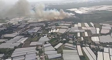 Antalya'nın Aksu ilçesinde orman yangını çıktı