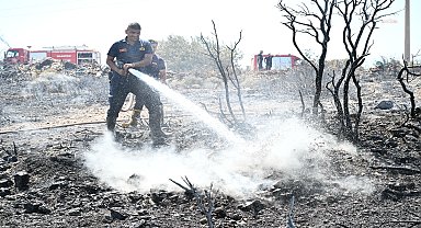 Aydın Büyükşehir Belediyesi, Didim'deki maki yangınına müdahale ediyor