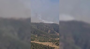 Aydın’ın Efeler ilçesinde ziraat alanında başlayan yangın ormanlık alana sıçradı