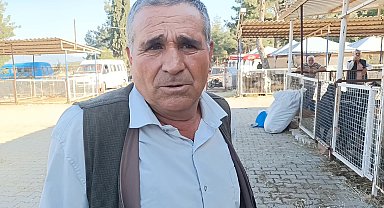 Aydın kurban pazarındaki besici: 