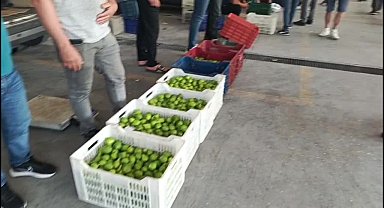 Aydın Nazilli'de 