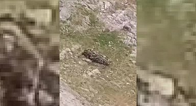 Batman’da bilirkişi heyetini taşıyan araç şarampole devrildi, 5 kişi öldü