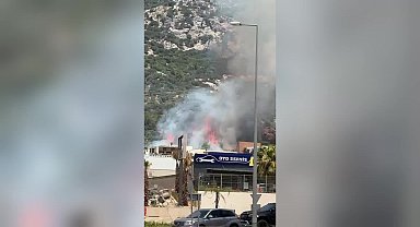 Bodrum'da makilik alanda yangın çıktı
