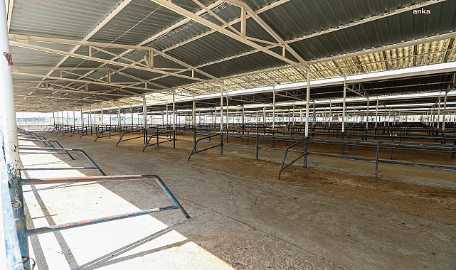 Burdur Belediyesi Canlı Hayvan Pazarı Kurban Bayramı’na hazır