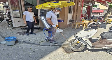 Çanakkale Belediyesi, vektörle mücadele çalışmalarına devam ediyor 