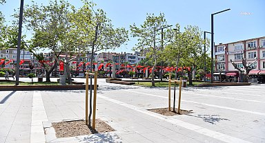 Çanakkale'de devrilme riski taşıyan ağaçların yerine yenileri dikiliyor