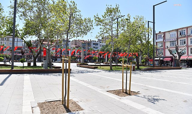 Çanakkale'de devrilme riski taşıyan ağaçların yerine yenileri dikiliyor
