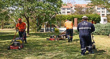 Çankaya Belediyesi'nden parklarda yoğun mesai