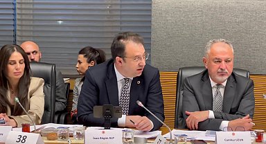 CHP'li İnan Akgün Alp: 