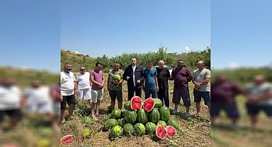 CHP’li Kaya: “Karpuz üreticisi kan ağlıyor, Tarım Bakanı sahaya inmeli”