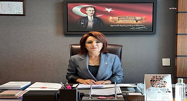 CHP'li Kış, tekstil sektörünün sorunlarını Meclis'e taşıdı