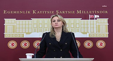 CHP’li Ösen, Ticaret Bakanı Bolat'a Bakan Yardımcısı Gürcan'ın “kanserojen ürün” açıklamasını sordu
