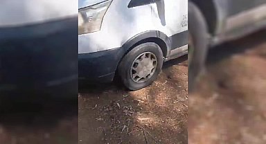 Datça'da eşeklerin toplatılmasına tepki