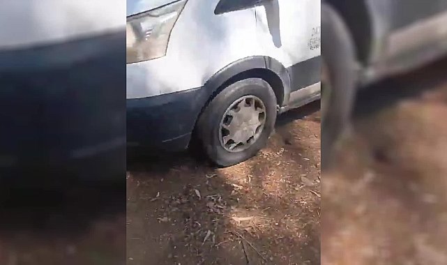 Datça'da eşeklerin toplatılmasına tepki
