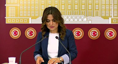 DEM Parti Grup Başkanvekili Koçyiğit: 