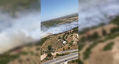 Didim’de makilik alanda yangın