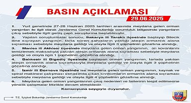 Dört ildeki orman yangınlarına ilişkin 11 kişi gözaltına alındı