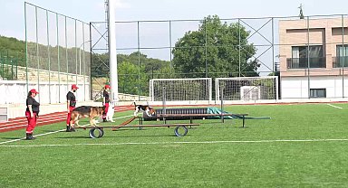 Dünya Arama Kurtarma Köpekleri Şampiyonası Çekmeköy’de yapıldı… Belediye Başkanı Çerkez: