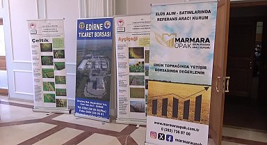 Edirne’de buğdayda beklenti dekara 500 kilogram