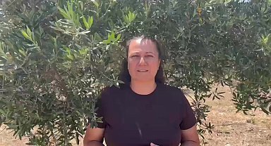 Enerjide yatırımcılara 