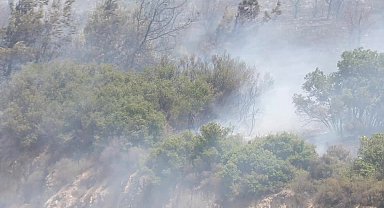 Foça’daki orman yangını kontrol altına alındı