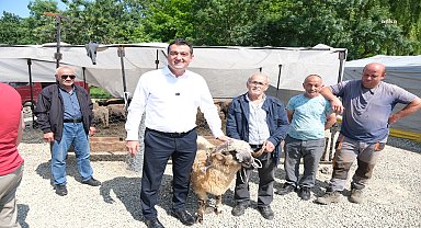 Giresun Belediye Başkanı Köse'den hayvan pazarına ziyaret