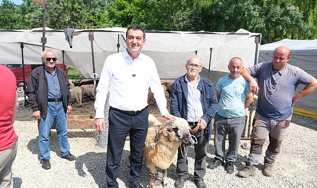 Giresun Belediye Başkanı Köse'den hayvan pazarına ziyaret
