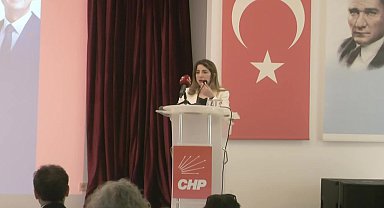 Gökan Zeybek'ten zeytinlikleri madenciliğe açacak kanun teklifine tepki: 