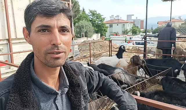 Hayvancılıkla uğraşan vatandaş: ''İlk çıktığında emekli ikramiyesi bir kurbanlık alıyordu, şimdi dörtte birini bile karşılamıyor''