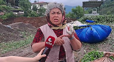 Hopalı çay üreticileri tepkili:
