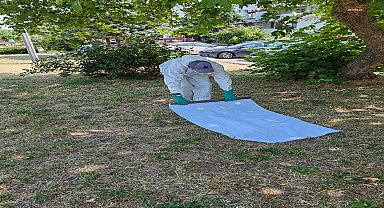 İBB’den kenelere karşı yaz mesaisi: İstanbul’da kene vakalarına karşı sahada aktif mücadele sürüyor