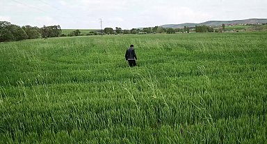 İklim değişikliği Yozgat’ta zirai bitkilerde hastalığa neden oldu