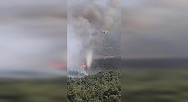 İletişim Başkanlığı: Halihazırda devam eden 8 orman yangınına müdahale çalışmaları aralıksız olarak devam etmektedir
