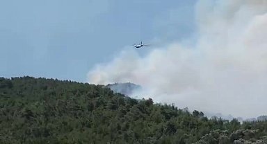 İletişim Başkanlığı: Yurt genelinde son üç günde 263 orman yangını çıktı, 4'üne müdahale devam ediyor