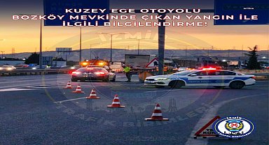 İzmir Aliağa'da orman yangını: Trafik Yeni Foça istikametine kapatıldı