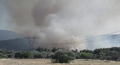 İzmir Bornova’da orman yangını: 455 ev tahliye edildi... Vali Elban: Yangının kaynağı ev tadilatında çıkan kıvılcım, 3 kişi gözaltında 